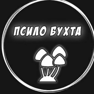 Логотип @psilobuhta - Псило бухта чат