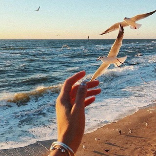 Логотип @psixologia03 - Психологічна підтримка