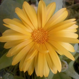 Логотип @psixologid - Психология.Познай себя.