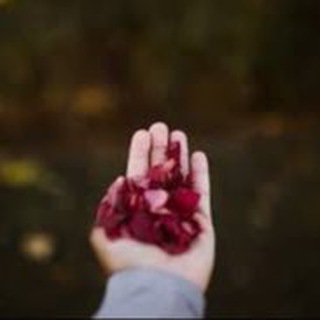 Логотип @psixologiyasamorazvitie - Психология