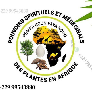 Логотип @psmpa99543880 - POUVOIRS SPIRITUELS ET MÉDECINALES DES PLANTES EN AFRIQUE ☘☘☘🌿