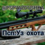 Логотип @pspvazdushka - pspvazdushka