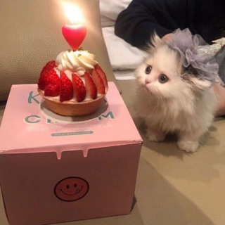 Логотип @pssst_memes - Pssst... I've got some memes 4 u