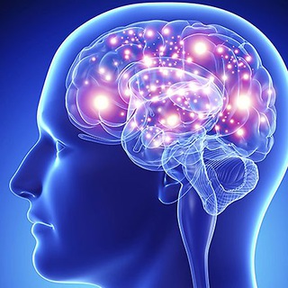 Логотип @psy_lg - Психология для тебя 🧠