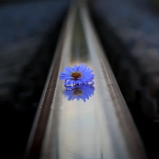 Логотип @psyartmoderne - Psyartmoderne