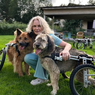 Логотип @psyashkindom - Псяшкин дом