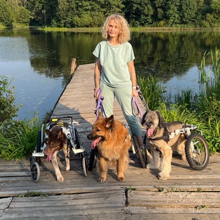 Логотип @psyashkindomchat - Псяшкин дом Chat