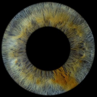 Логотип @psycho_grey - Рабочий Кабинет Грея