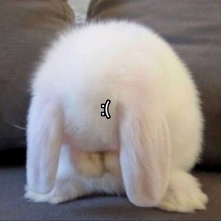 Логотип @psychodispensary - психдиспансер