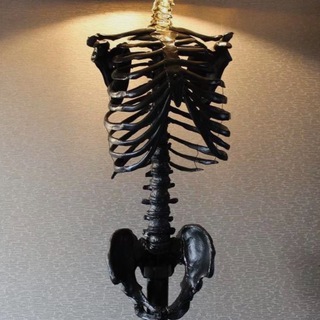 Логотип @psychoknowledge_tg - Эстетика психологии