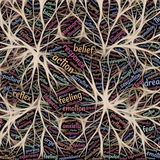 Логотип @psychologieaktuell - Rund um Psychologie Trauma Liebe Beziehung NLP & Co.