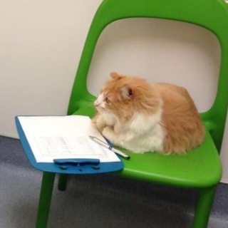 Логотип @psychology_cats - 🐾 Психология и котики