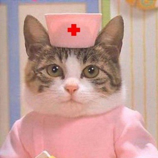 Логотип @psydochelp - Психиатр на связи