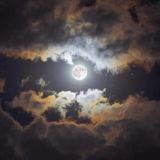 Логотип @psydollsups - Psydolls_live_chat