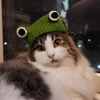 Логотип @psyhokoshka - Мемотерапия