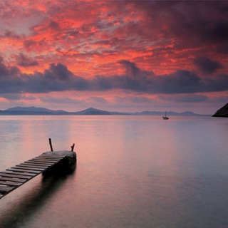 Логотип @psyhospher - PsychoSphere | психология счастья