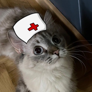 Логотип @psykot1 - Кот ПА Поговорит с тобой