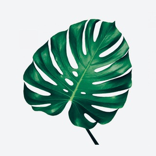 Логотип @psylennaya - Психолог Меркулов