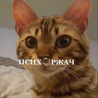 Логотип @psymeme - психоржач