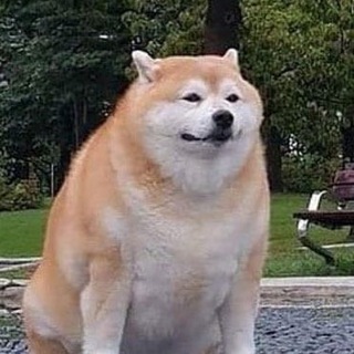 Логотип @psynu - пёсели