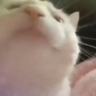 Логотип @psytrancebase - Psytrance Base 🎧