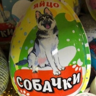 Логотип @ptdogchat - Яйцо собачки