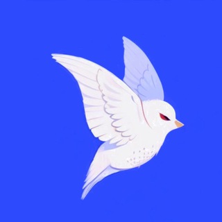 Логотип @ptenetstgg - птенец