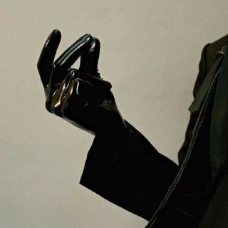 Логотип @ptichchat - Витребеньки.