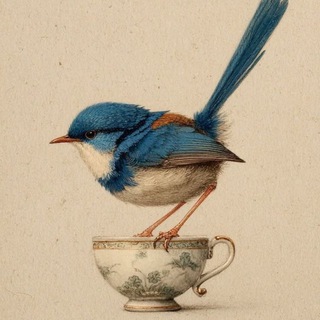 Логотип @ptizaschastya - 🦚ПТИЦА СЧАСТЬЯ | небесные узоры