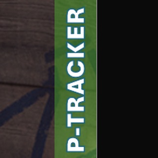 Логотип @ptracker - P-tracker - Москва