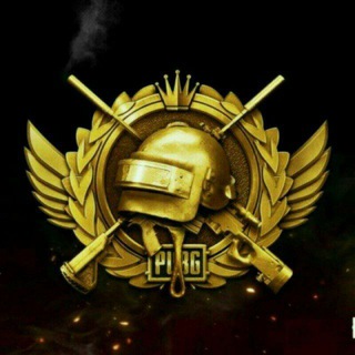 Логотип @pubg_team_groupp - Mr.Squad