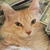 Логотип @pubgm1232 - chat 💬