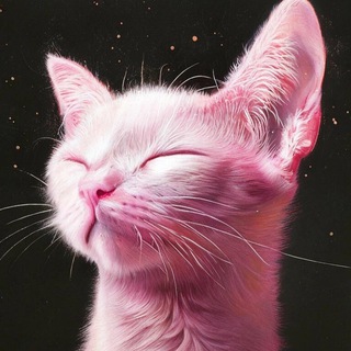 Логотип @pubgsellerhub - КОШАЧИЙ СМЕХ