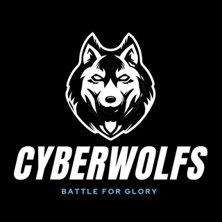 Логотип @pubgwolfs - CYBERWOLFS pubgm
