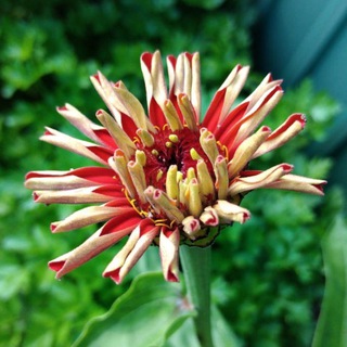 Логотип @publicfilestorage - ⚡️File storage⚡️