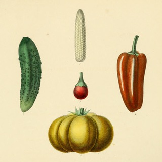 Логотип @publicrelease - Мощный межвед 🗡