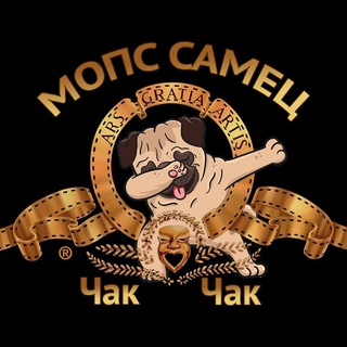 Логотип @pugchakchak - Мопс самец Чак-чак