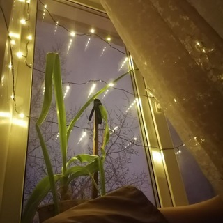 Логотип @puit_many - работа на отзывах 🎄🖇️