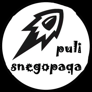 Логотип @puli_snegopada_official - Пули Снегопада