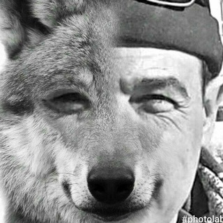 Логотип @pulipastor - PULI🌲