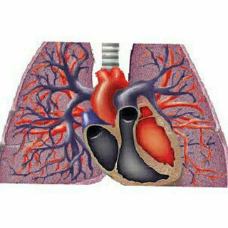 Логотип @pulmonaryc - pulmonary courses and books