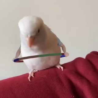 Логотип @pumkahahahachat - Смехуечки да пиздахаханьки и не только:) Chat