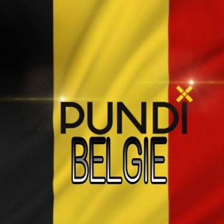 Логотип @pundix_be - Pundi X Belgium 🇧🇪 (Unofficial)