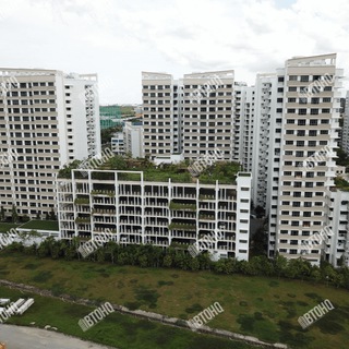 Логотип @punggolbto - Punggol BTO | BTOHQ