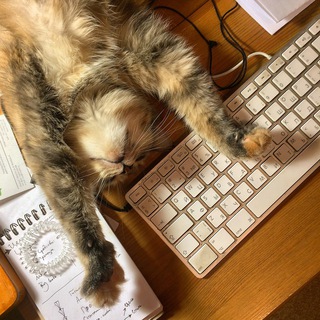 Логотип @punktokomo - Корректорская