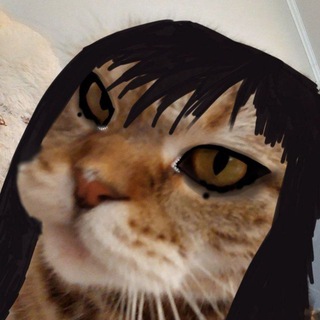 Логотип @pupkamari666 - pupkamari