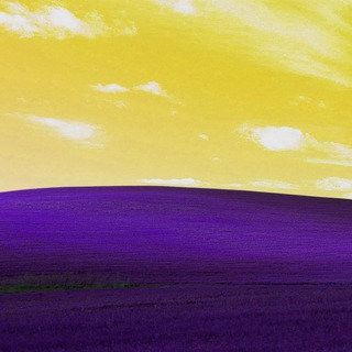 Логотип @purble_place - Purble Place ✨