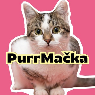 Логотип @purrmacka - PurrMačka