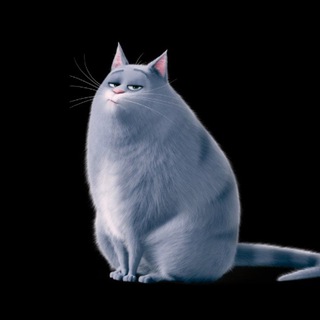 Логотип @pushistyydrug - Пушистый друг🐈