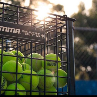 Логотип @pushka188 - Team Bets | Прогнозы